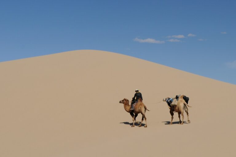 Mongolia_Desert